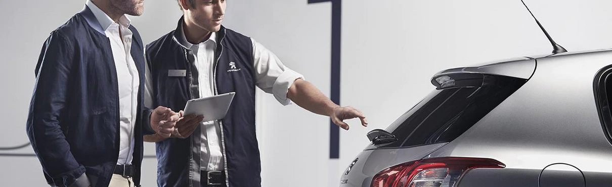 download PEUGEOT workshop manual