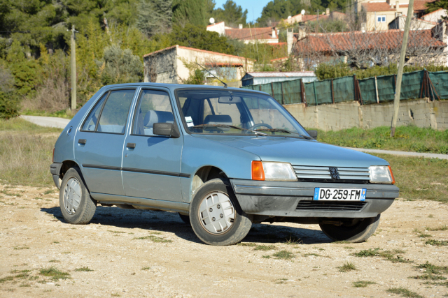 download Peugeot 205 workshop manual