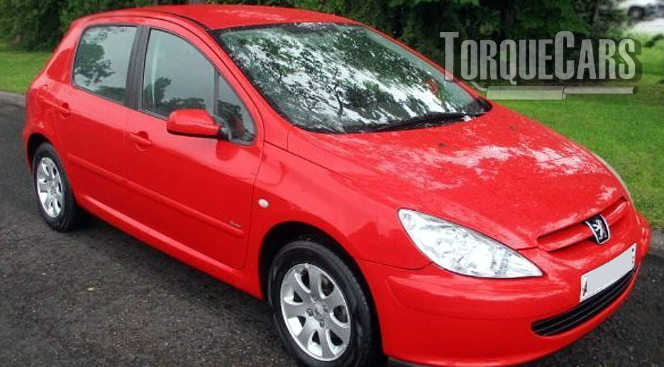 download Peugeot 307 Engine workshop manual