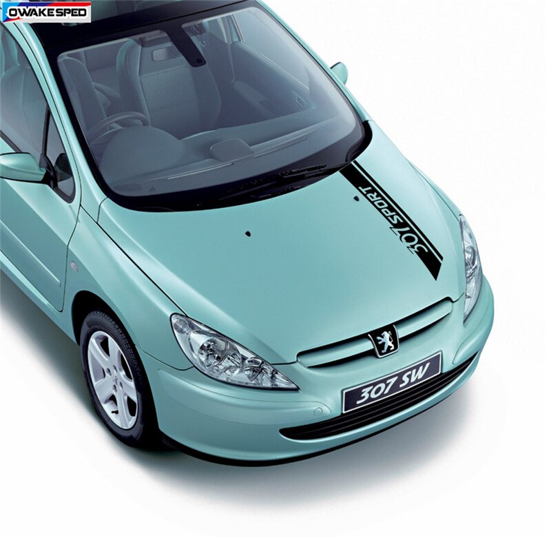 download Peugeot 307 MultiLanguage workshop manual