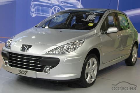 download Peugeot 307 MultiLanguage workshop manual