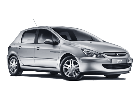 download Peugeot 307 workshop manual