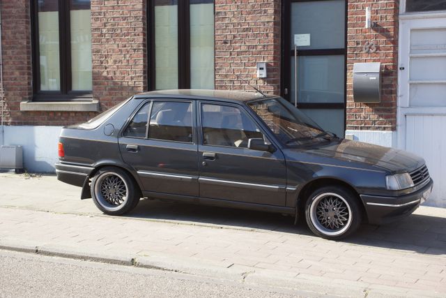 download Peugeot 309 workshop manual