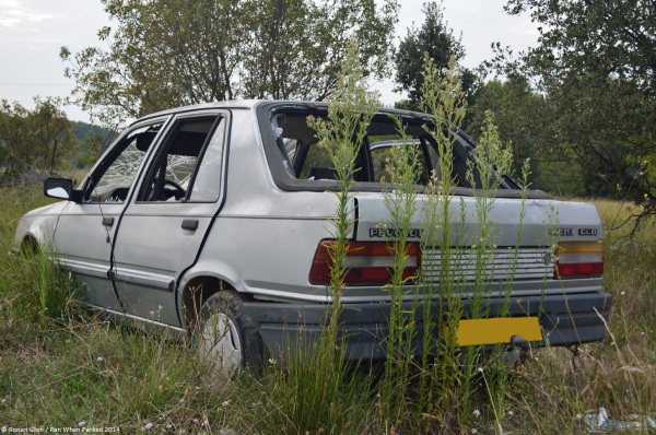 download Peugeot 309 workshop manual