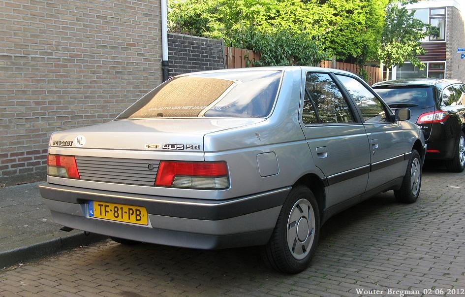 download Peugeot 405 workshop manual