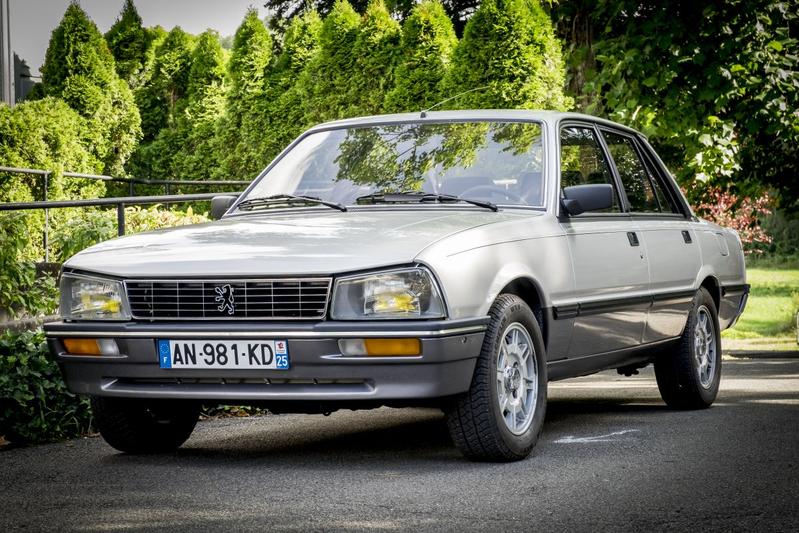 download Peugeot 505  able workshop manual