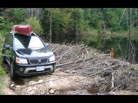 download Pontiac Torrent workshop manual