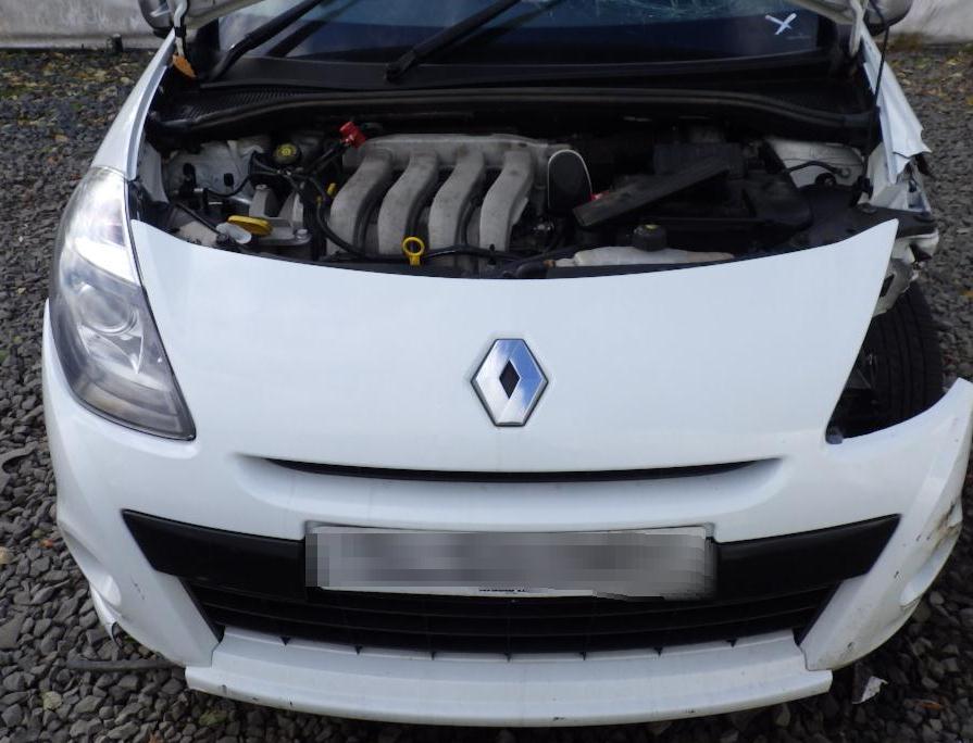 download RENAULT MEGANE Engine workshop manual