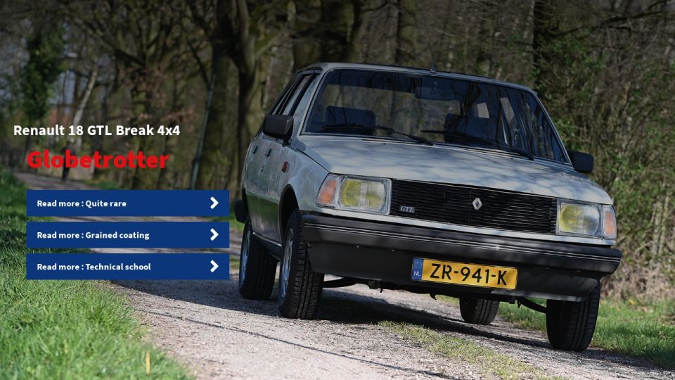 download Renault 18 workshop manual