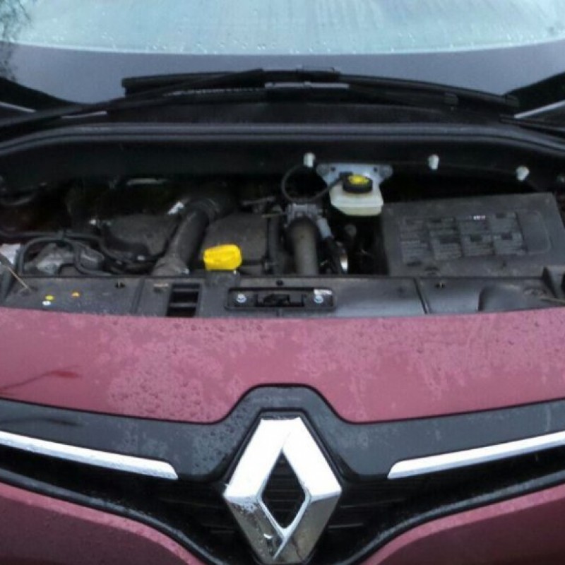 download Renault Megane Scenic workshop manual