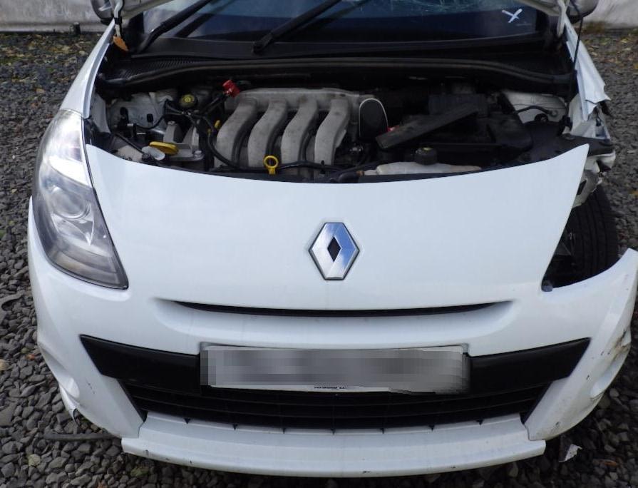 download Renault Sandero workshop manual