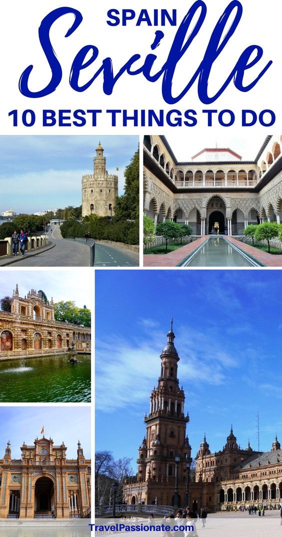 download SEVILLE workshop manual