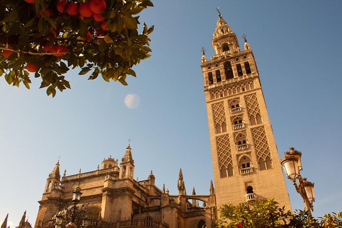 download SEVILLE workshop manual