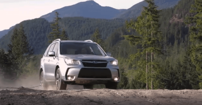 download SUBARU FORESTER workshop manual