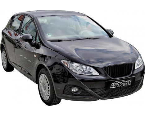 download Seat Ibiza 5 Door workshop manual