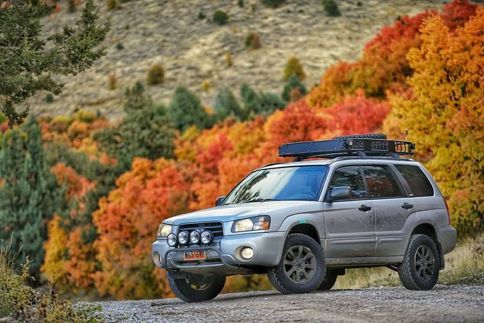 download Subaru Forester workshop manual