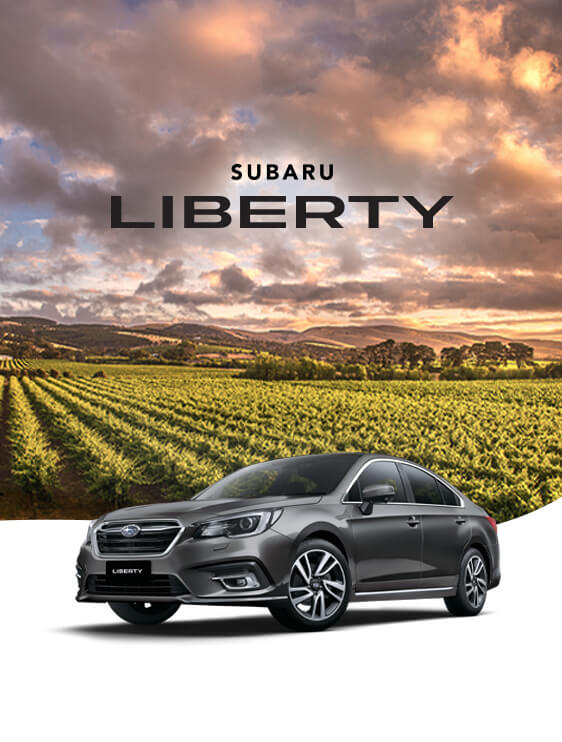 download Subaru Liberty workshop manual