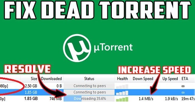 download TORRENT workshop manual