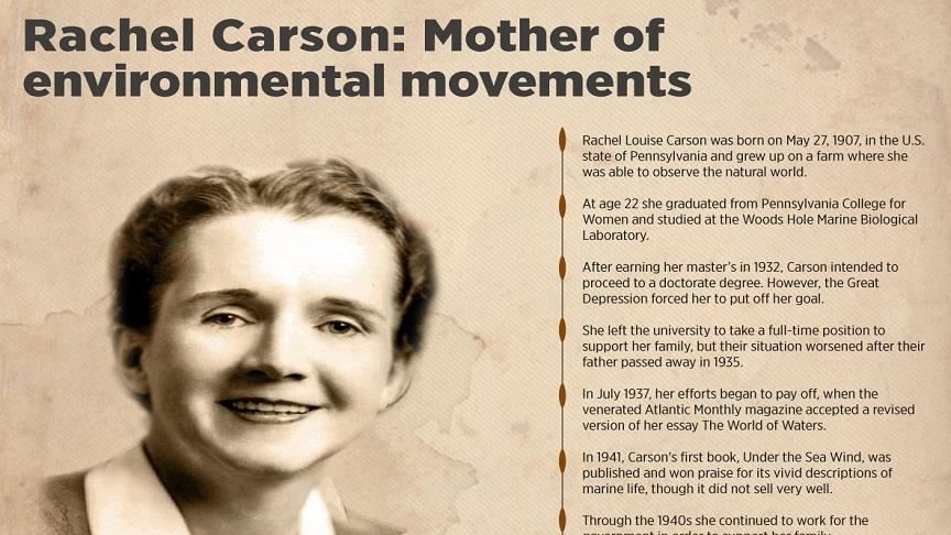 download The Edge of the Sea Rachel Carson able workshop manual