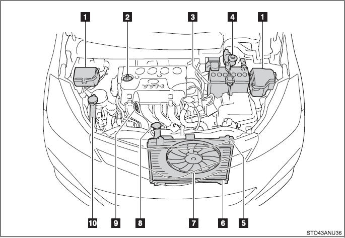 download Toyota Echo workshop manual