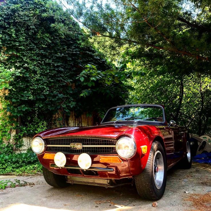 download Triumph TR6 workshop manual