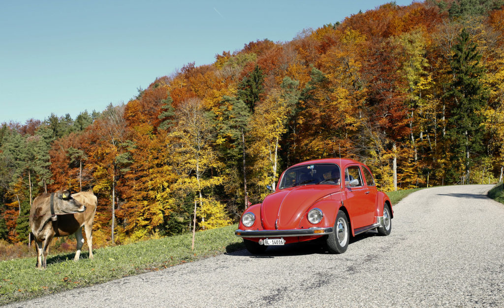 download Volkswagen Beetle workshop manual