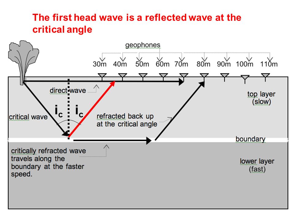 download WAVE workshop manual