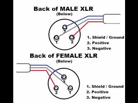 download XLR workshop manual