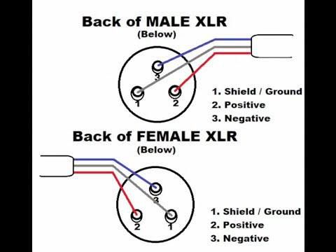 download XLR workshop manual